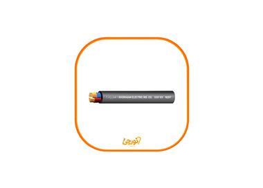 کابل قدرت N2XRY (وایر ارمور با عایق XLPE) سایز 3 در 6re افشارنژاد خراسان (تکراری)