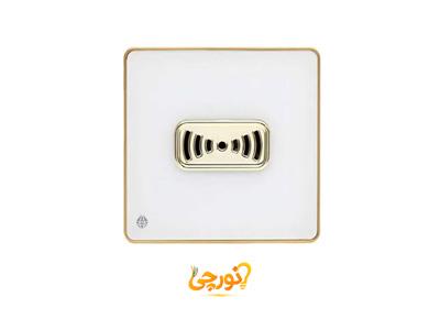 پریز ارت دار