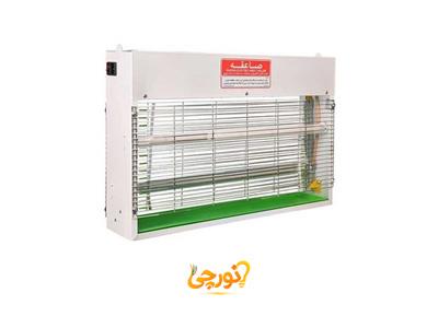 حشره دوطرفه