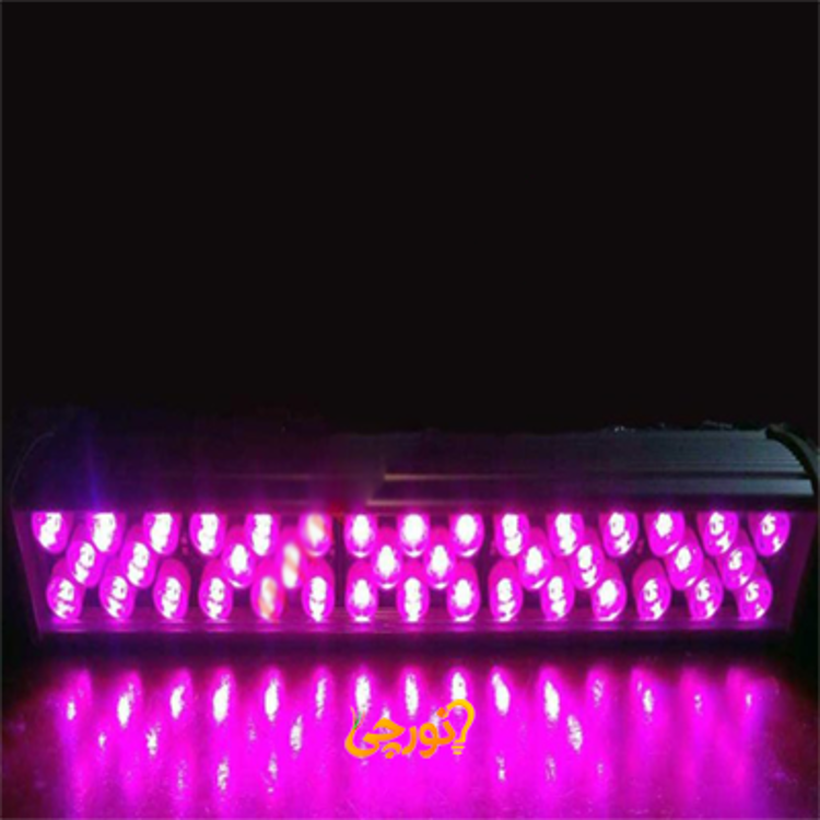 وال واشر LED رشد گیاه فول اسپکتروم